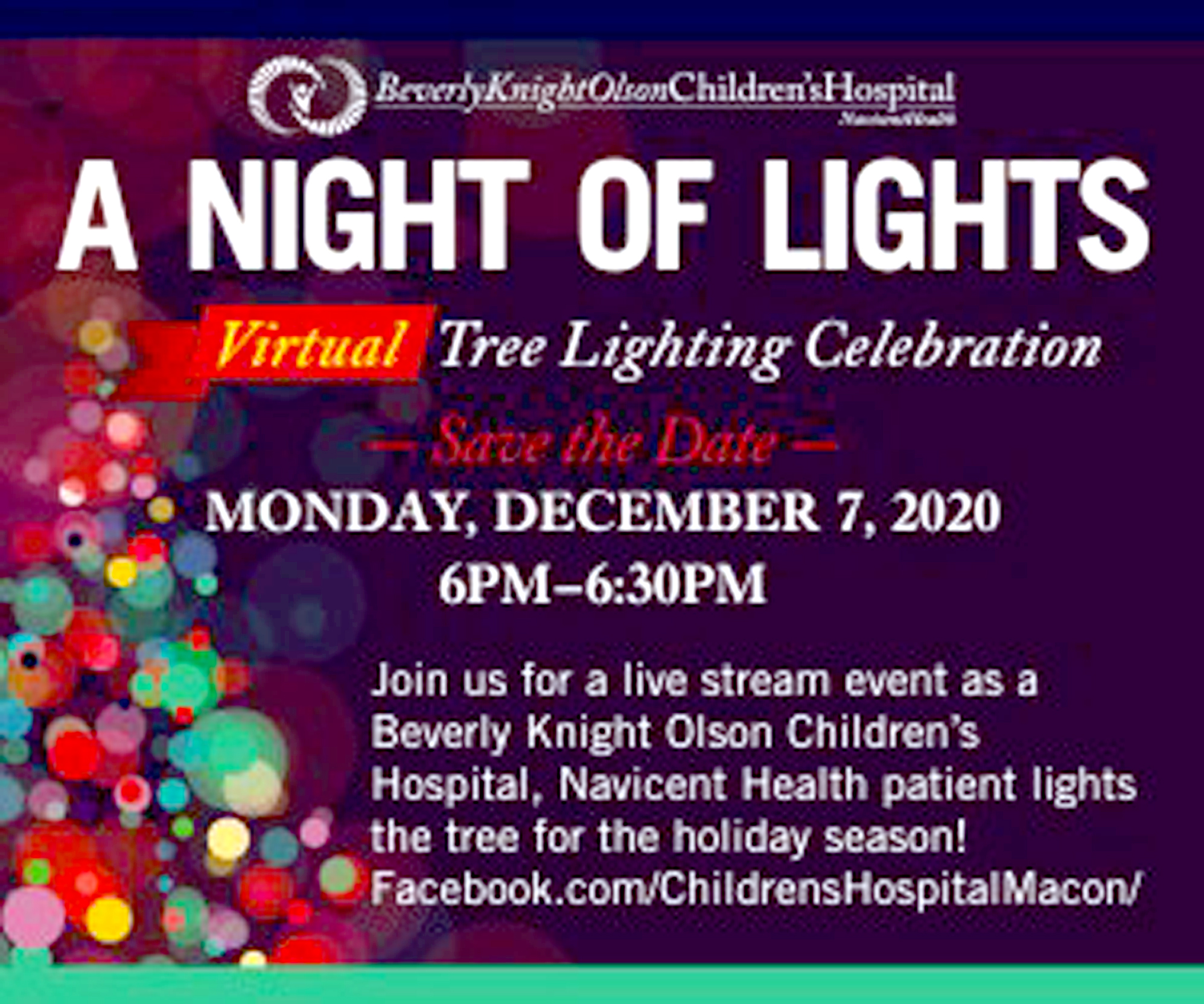 MaconNightofLightsdec20_1