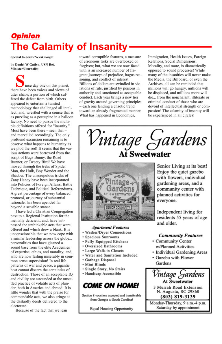 TheCalamityofInsanitybyDanGatlyn