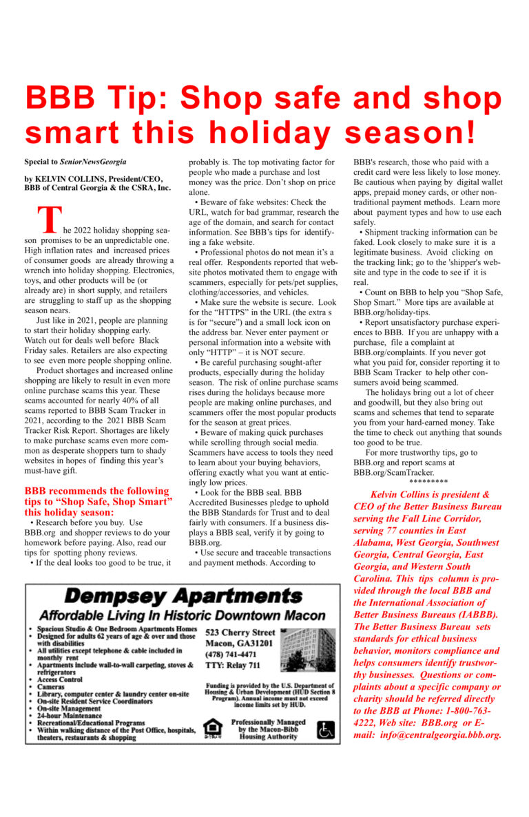 Article on holiday shopping safety tips.