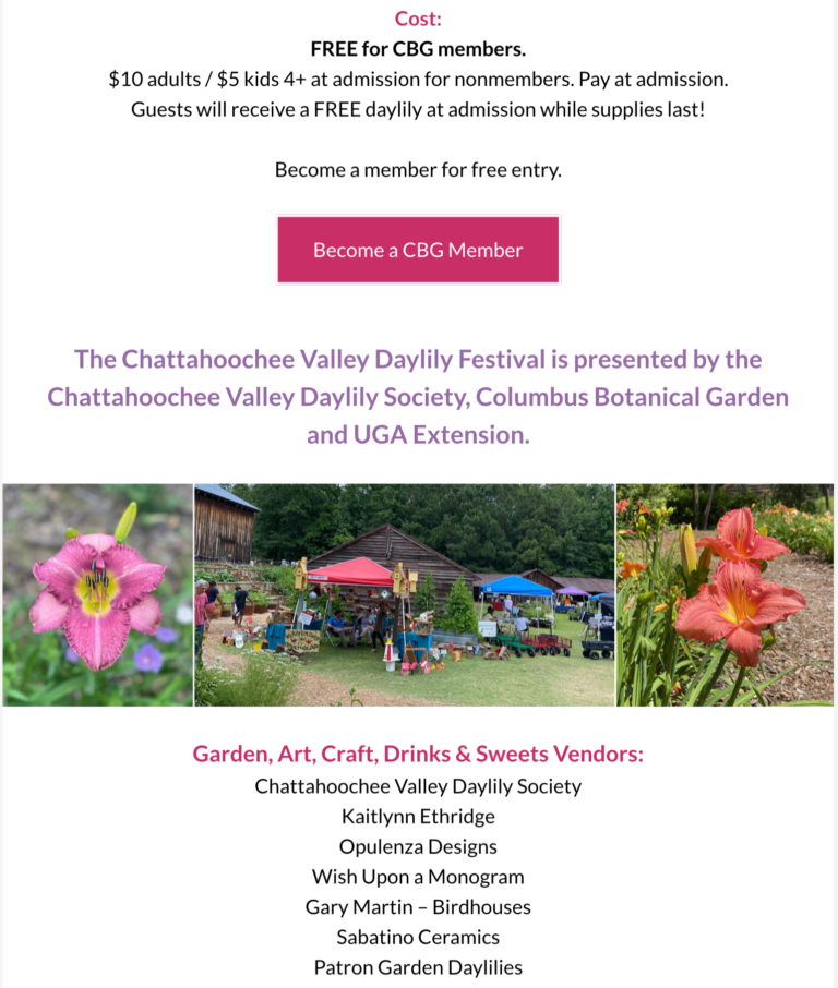 Screenshot-2023-06-01-at-11.51.06-AM