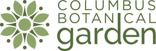 cc191850-9769-79ae-45b1-6292daac0858