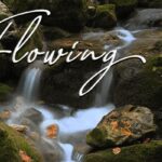 Flowing Wells Theatre text over forest stream.