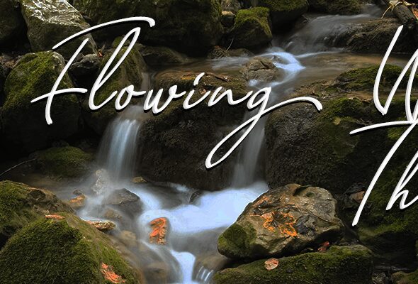 Flowing Wells Theatre text over forest stream.