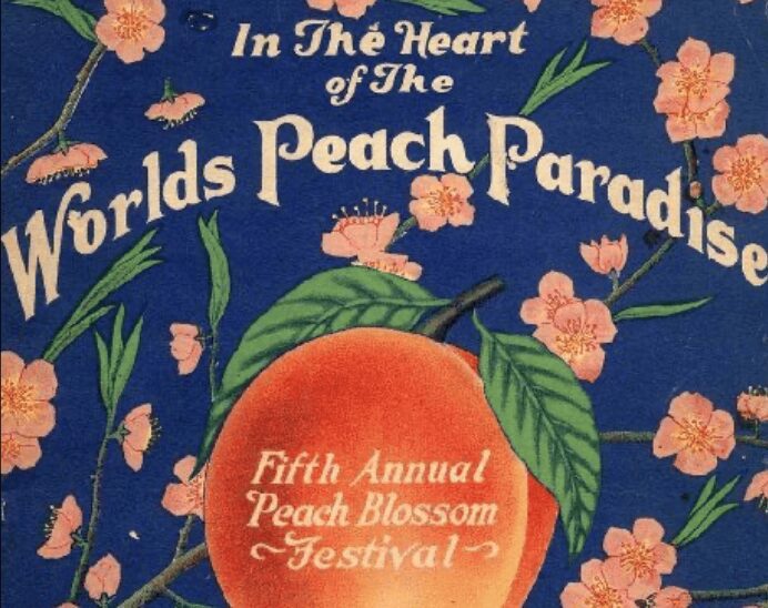 Peach festival poster with blossoms and fruit.