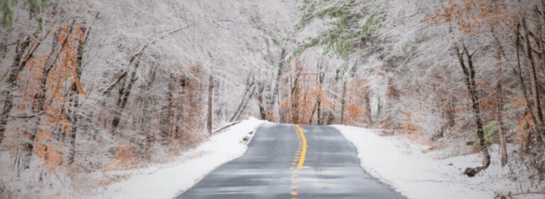 Snowy road through winter forest with trees.