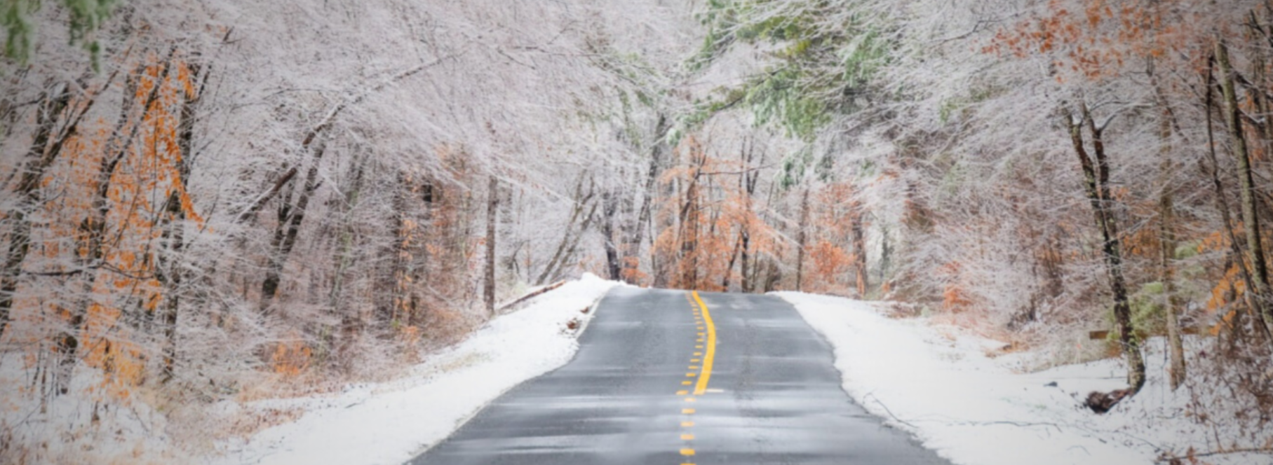 Open DiscoverDAHLONEGA.jpeg