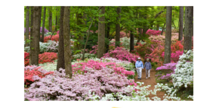 Columbus Botanical Garden Seasonal Events