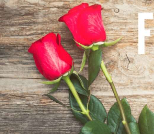 Two red roses on wooden surface.