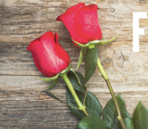 Screen Shot 2025-04-05 at 4.36.04 PM