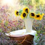 sunflowers, vase, bouquet, beautiful flowers, flowers, flower background, nature, flower arrangement, floral arrangement, flower wallpaper, flower vase