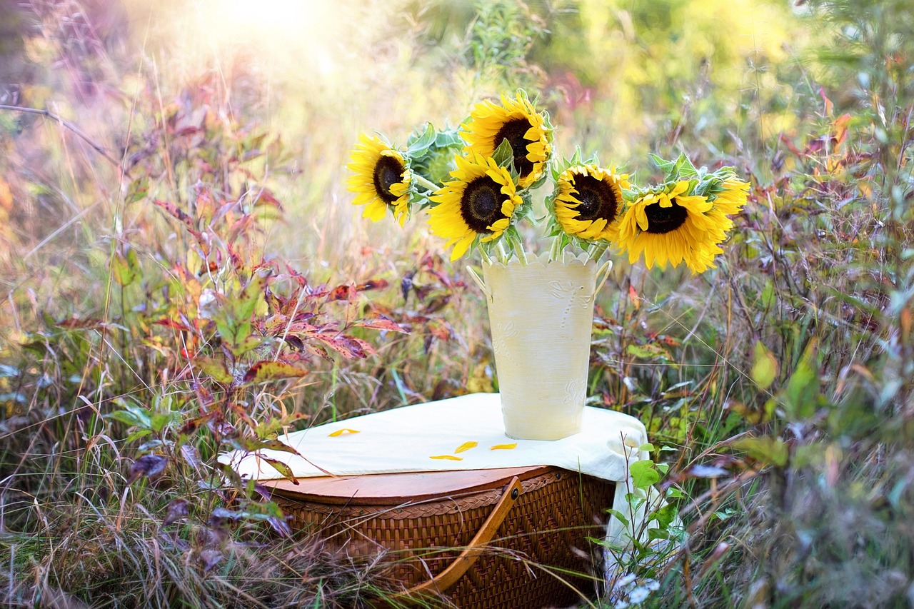 sunflowers, vase, bouquet, beautiful flowers, flowers, flower background, nature, flower arrangement, floral arrangement, flower wallpaper, flower vase