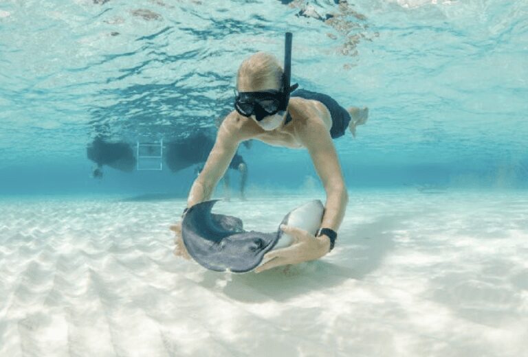 Snorkeler interacting with stingray underwater.